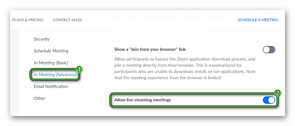 Allow live steaming meetings option