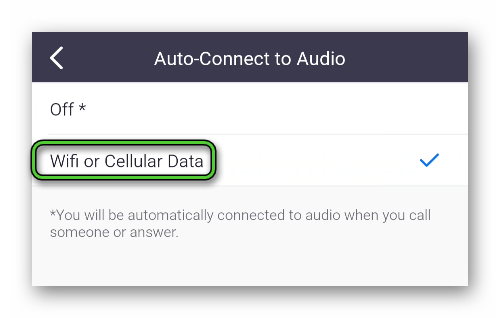 Auto-connect to Audio option in mobile app