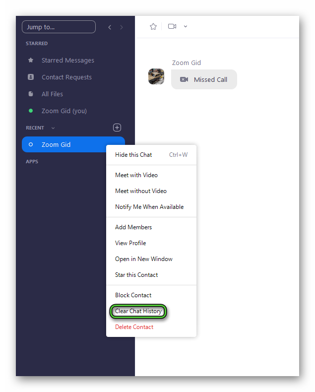 Clear Chat History option