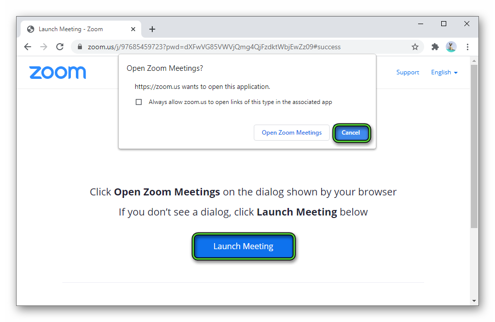 Dismiss launching Zoom program on Meeting Test in browser