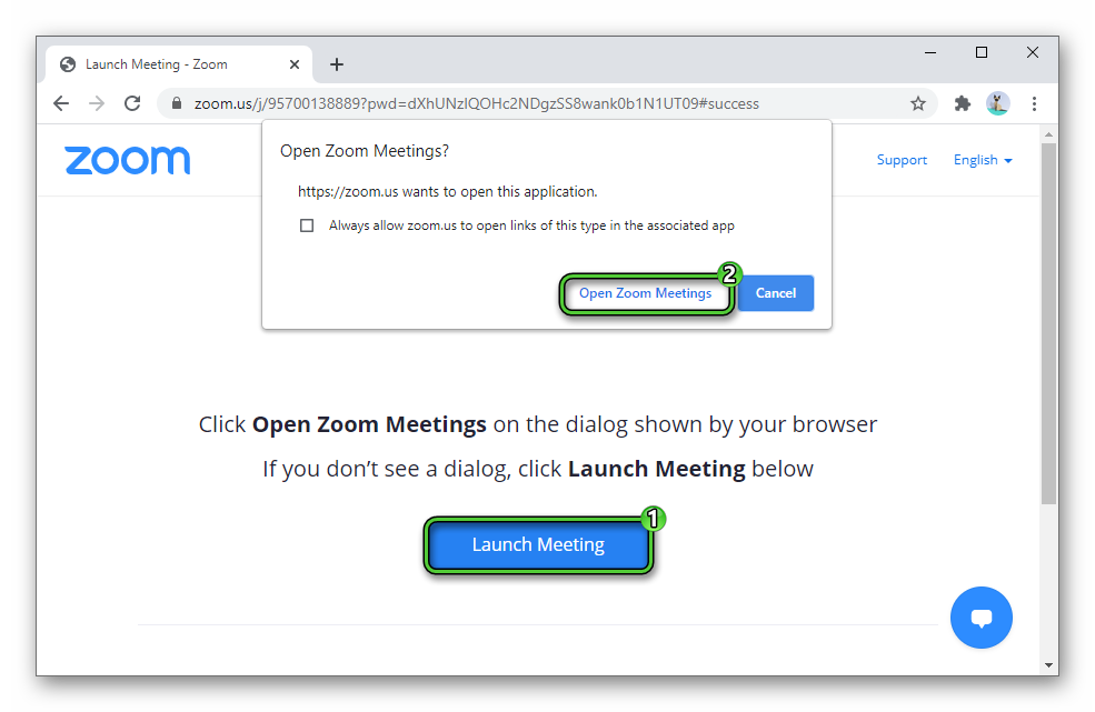 Join Zoom Meeting Test in browser