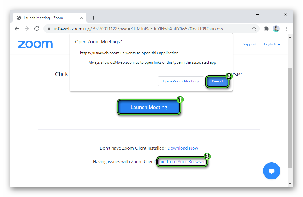 Join web version of Zoom Meeting Test