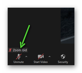 Muted mic in Zoom Meeting on PC