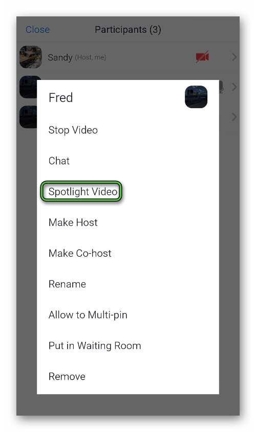 Spotlight video option